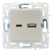 Розетка USB A+C 18Вт IEK SKANDY SK-R13Sh (шампань) SK-U22-018-K37