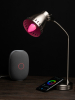 Умная лампа EKF Connect 5W WIFI RGBW E14 slwf-e14-rgbw