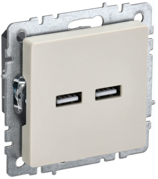Розетка USB BRITE A+A 3,1А бежевый РЮ10-1-БрКр BR-U21-D31-K10
