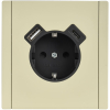 Зарядка USB (А+С) с розеткой IEK FORTE&PIANO 18Вт FP847M (металл слоновая кость) FP-R14-16-U22-018-M-K41