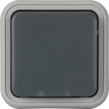 Рамка с клавишей для скрытой установки переключателя 1 кл. IP55 W55 (серый) DIP62040