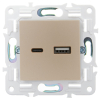 Розетка USB A+C 3,1А IEK SKANDY SK-R14Sh (шампань) SK-U22-D31-K37