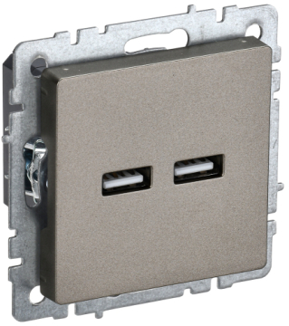 Розетка USB BRITE A+A 3,1А шампань РЮ10-1-БрШ BR-U21-D31-K37