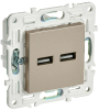 Розетка USB A+A 3,1А IEK SKANDY SK-R15Sh (шампань) SK-U21-D31-K37
