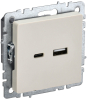 Розетка USB BRITE A+C 18Вт бежевый РЮ11-1-БрКр BR-U22-018-K10