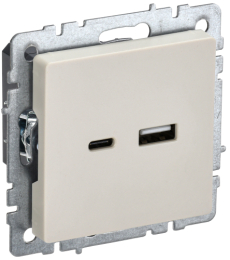 Розетка USB BRITE A+C 18Вт бежевый РЮ11-1-БрКр BR-U22-018-K10