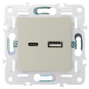 Розетка USB A+C 3,1А IEK SKANDY SK-R14B (бежевый) SK-U22-D31-K10