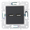 Розетка USB A+A 3,1А IEK SKANDY SK-R15G (графит) SK-U21-D31-K53