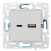 Розетка USB A+C 18Вт IEK SKANDY SK-R13W (арктический белый) SK-U22-018-K01