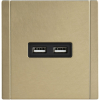 Розетка USB A+A FORTE&PIANO 3,1А  FP649M (металл шампань) FP-U21-D31-M-K37