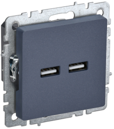 Розетка USB BRITE A+A 3,1А маренго РЮ10-1-БрМ BR-U21-D31-K35