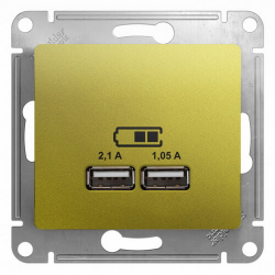 Розетка USB Glossa (фисташковый) GSL001033