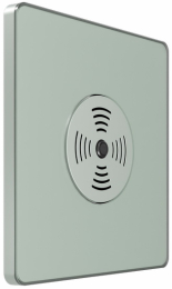 Выключатель звуковой SE Systeme Infinity 100Вт с выдержкой времени (таежное утро) FSE000894