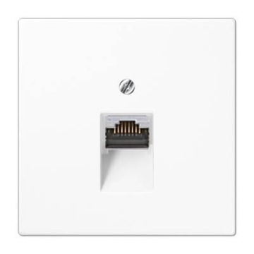Розетка компьютерная Jung LS кат.6 (белый матовый) EPUAE8UPOK6US+LS969-1UAWWM